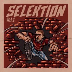 Sampler -Selektion Vol.1-